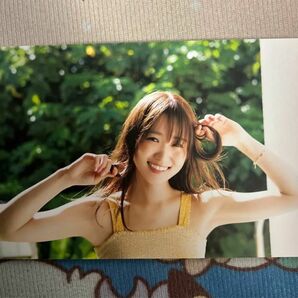 櫻坂46 菅井友香 卒業写真集 『大切なもの』ポストカード5