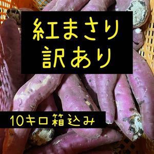 超訳あり熟成紅まさり10キロ箱込み