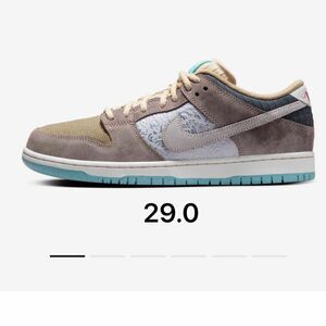 Nike SB Dunk Low Pro 