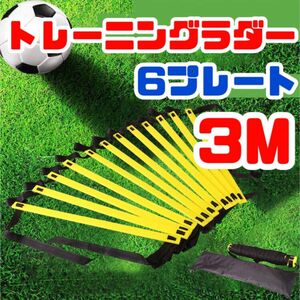 トレーニング ラダー 子供 サッカー スポーツ 基礎 瞬発力 3m