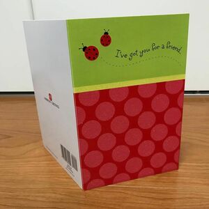 バースデーカード　グリーティングカード　てんとう虫　誕生日カード　誕生日