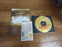 ★☆TAN03691　ネヴァー・ザ・ブライド / Never The Bride　CDアルバム☆★_画像1