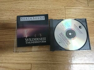 ★☆TAN03935　wilderness thunderstorm / north sound　CDアルバム☆★