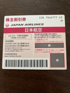 日本航空　株主割引券