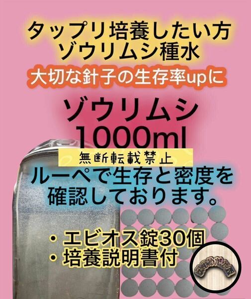 ゾウリムシ 種水 エビオス錠 めだか 卵 針子に PSB 生クロレラ バクテリア 7