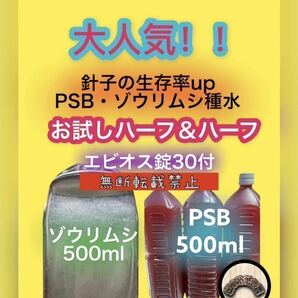 光合成細菌 PSB ゾウリムシ 種水 エビオス錠 説明書付 エサ めだか 針子 7の画像1