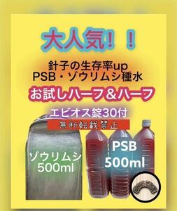 光合成細菌 PSB ゾウリムシ 種水 エビオス錠 説明書付 エサ めだか 針子 8