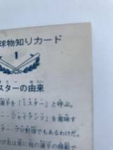 1973年 カルビー プロ野球カード 長島 茂雄 No.１ バット版 良品_画像4