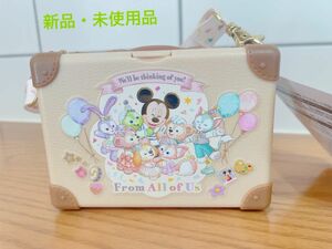 ダッフィー ダッフィフレンズ ディズニー TDS スナックケース スーベニア シェリーメイ ディズニーシー 40周年 新品 未使用