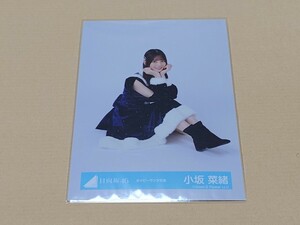 日向坂46 小坂菜緒 ネイビーサンタ衣装 座り