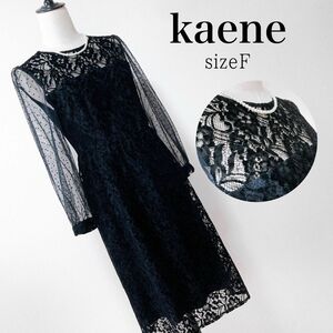 kaene 総レース フロッキー ワンピース ドレス