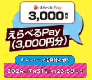 懸賞 応募券　( えらべるPay（3,000円分）、他