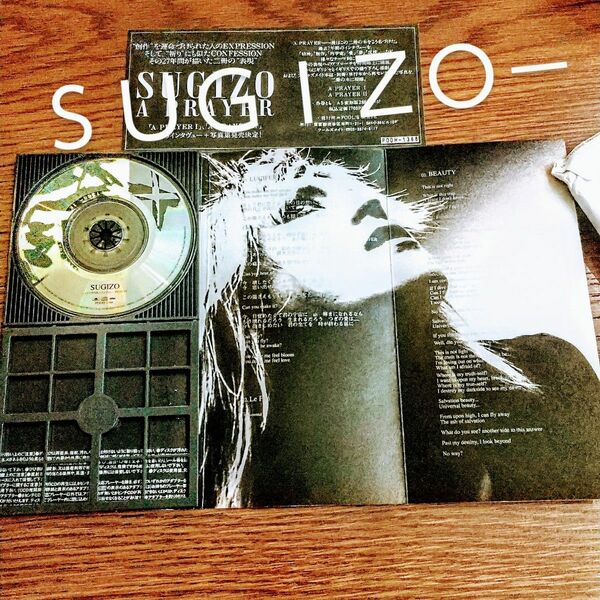 ◆LUNASEA◆SUGIZO/ルシファー ◆90年代 ※スギゾー