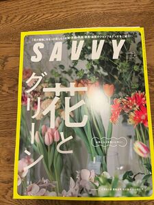 最新号　SAVVY サヴィ 2024年 6月号