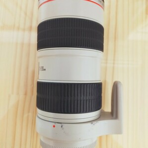 ★実用美品★ Canon EF70-200mm F2.8 L IS USM レンズ ET-86純正フードの画像3