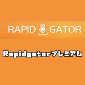 【10年分】Rapidgator プレミアム 匿名 サポートあり W611の画像3