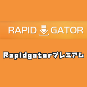 【10年分】Rapidgator プレミアム 匿名 サポートあり W634の画像3