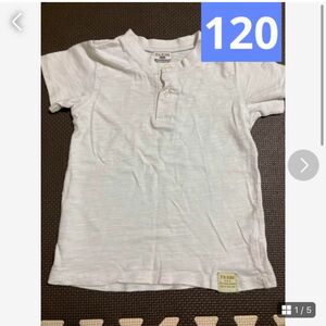 男の子　120 半袖　記名なし　Tシャツ　ホワイト　白　エフオーキッズ