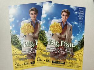 宝塚　星組　BigFISH チラシ　5枚セット　礼真琴