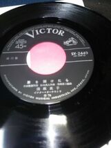 【EPレコード】◆南麻衣子「泣いてる女/扉を開けたら」見本盤◆ビクター/SV-2449/1974年/神レアフェロモン◆_画像8