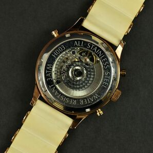 176669◆動作確認済 SONNE HAORI ゾンネ ハオリ メンズウォッチ 腕時計 自動巻き H003 スケルトン カレンダー GP ラバー/ Dの画像9