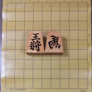 将棋 駒 2個