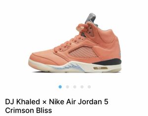 NIKE AIR JORDAN 5 DJ KHALED ナイキ エアジョーダン5 キャレド RETRO ジョーダン