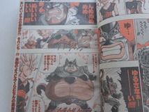 TF A03 週刊少年ジャンプ ドラゴンボール 其之四百十一 WEEKLY JUMP 集英社 Dragon Ball 鳥山明 AKIRA TORIYAMA SLAM DUNK_画像10