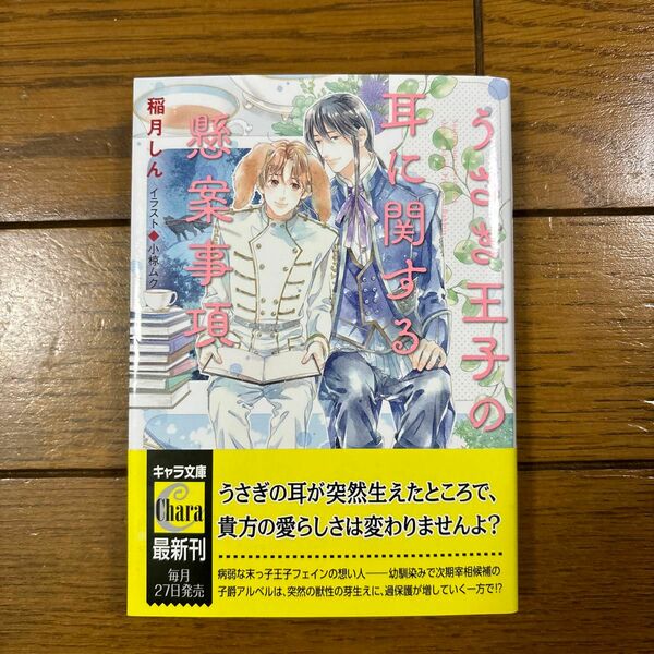 bl小説 うさぎ王子の耳に関する懸案事項 