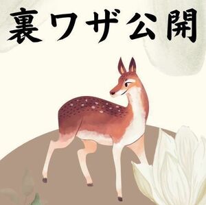 裏技中の裏技！　君は知らない　雑貨の組み合わせ程度の事で利益５０%以上を安定的に稼ぐ事が出来る方法