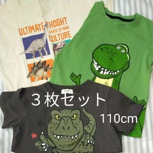 恐竜　半袖Tシャツ　３枚セット