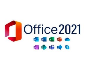 Microsoft office 2021 Professional Plus install disk only 