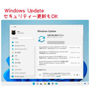 Windows11 最新Ver23H2 クリーンインストール用DVD 低年式パソコン対応 (64bit日本語版)の画像3