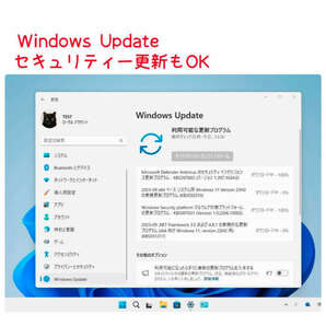 Windows11 最新Ver23H2 アップグレード専用 DVD 低年式パソコン対応 (64bit日本語版)の画像3