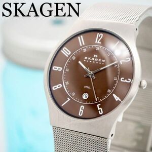 237 SKAGEN Skagen clock men's wristwatch simple Brown popular 