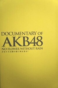 98_02883 DOCUMENTARY OF AKB48 NO FLOWER WITHOUT RAIN 少女たちは涙の後に何を見る?