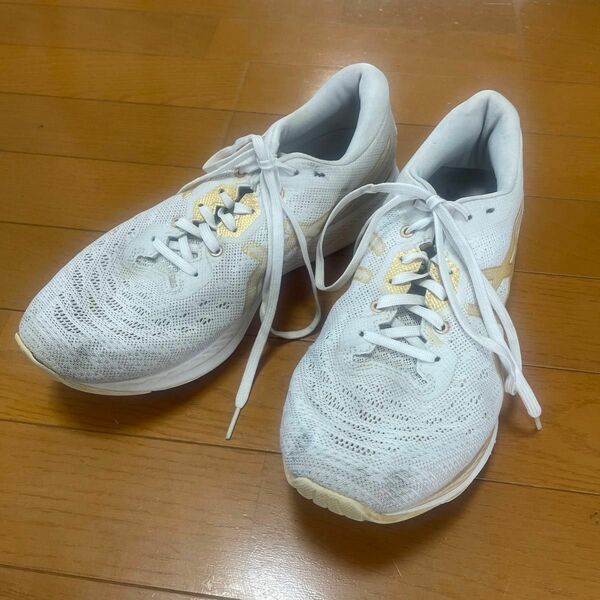 アシックス ASICS/メンズ ランニングシューズ/EVO RIDE/エヴォライド/1011A792