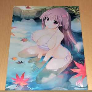【小林立】「咲 -Saki- 17巻」とらのあな特典 お風呂ポスターの画像1