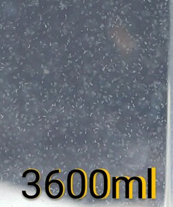 激安！　ゾウリムシ　3600ml　（900ml×4本）　。魚の餌。 グリーンウォーター 生クロレラ　ミジンコ めだか エサ　メダカ
