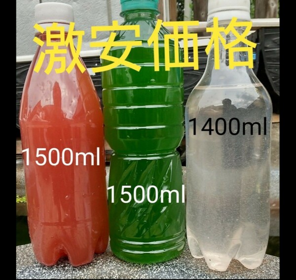 激安価格！　PSB(光合成細菌)1500ml&天然 グリーンウォーター(種水．青水)1500ml&ゾウリムシ 1400ml