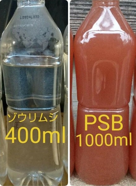 ゾウリムシ　400ml&　PSB(光合成細菌)1000ml。メダカ　金魚 針子 金魚 錦鯉