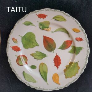 TAITU　ディナー皿2枚　エミリオベルガミン　natura 新品　廃番　希少