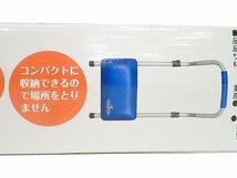 新品　ボディ用トレーニング　腹筋・背筋　IM.C-9.9　(管理AZ-177) (No-K)_画像7