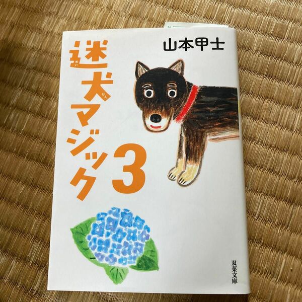 迷犬マジック　３ （双葉文庫　や－２６－１１） 山本甲士／著