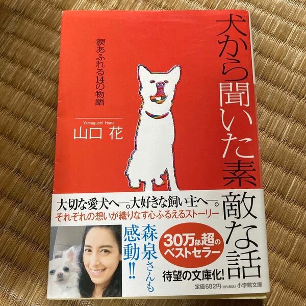 犬から聞いた素敵な話　涙あふれる１４の物語 （小学館文庫　や２９－１） 山口花／著