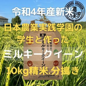 農業学校の学生と作った【ミルキークイーン】精米したて白米10kg　精白米 分搗き可　令和5年産新米