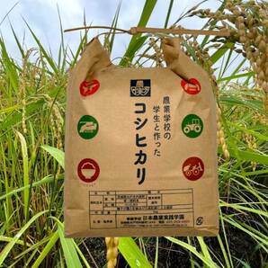 農業学校の学生と作ったコシヒカリ精米したて5kg 令和5年産 精白米 無洗米 分搗き可の画像7