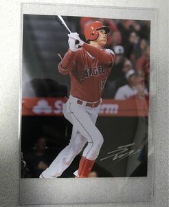 大谷翔平選手　直筆サイン入り写真