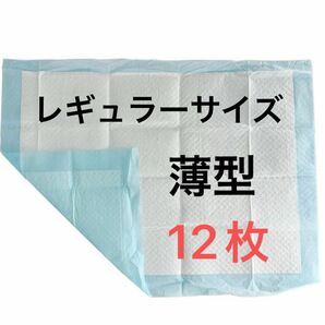 ペットシート薄型レギュラーサイズ12枚