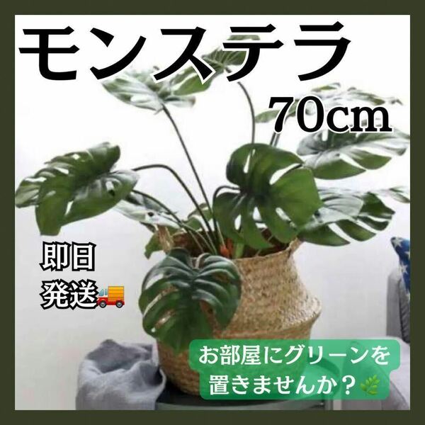 フェイクグリーン モンステラ 70cm 1本 造花 観葉植物 インテリア 多肉